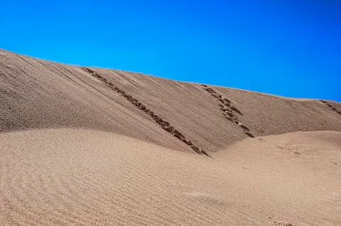 Sunset in the Sahara. Stock Photos