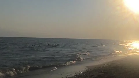 Sunset sand beach sea Vidéo 342320644