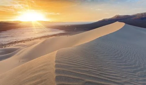Sunset on sand dune Stock Photos