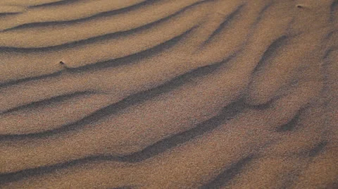Sunset Sand Dunes Stock Footage 24827808