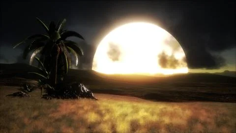 Sunset at Sand Dunes Stock Illustration
