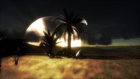 Sunset at Sand Dunes Stock Illustration