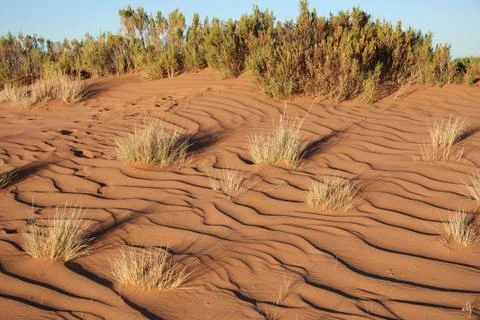 Sunset in the sand dunes Stock Photos