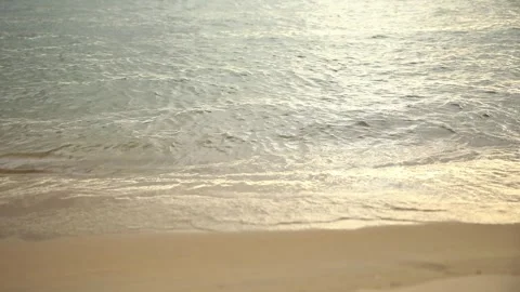 Sunset sandy beach with ocean in the background. Sea waves near tropical coast  Stock Footage 312808895