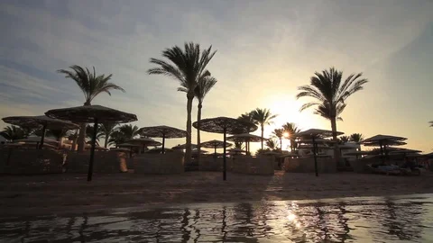 Sunset on the sandy beach. Red Sea Stock-Footage 71761399