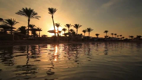 Sunset on the sandy beach. Red Sea Vidéo 75258472