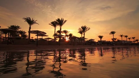 Sunset on the sandy beach. Red Sea Stock-Footage 75260101