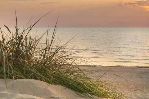 Sunset in sandy beach with sand dunes and grass at sea coast Stock Photos