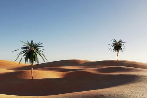 Sunset in a sandy desert, a panorama of the desert with palm trees, 3d render Stock Illustration