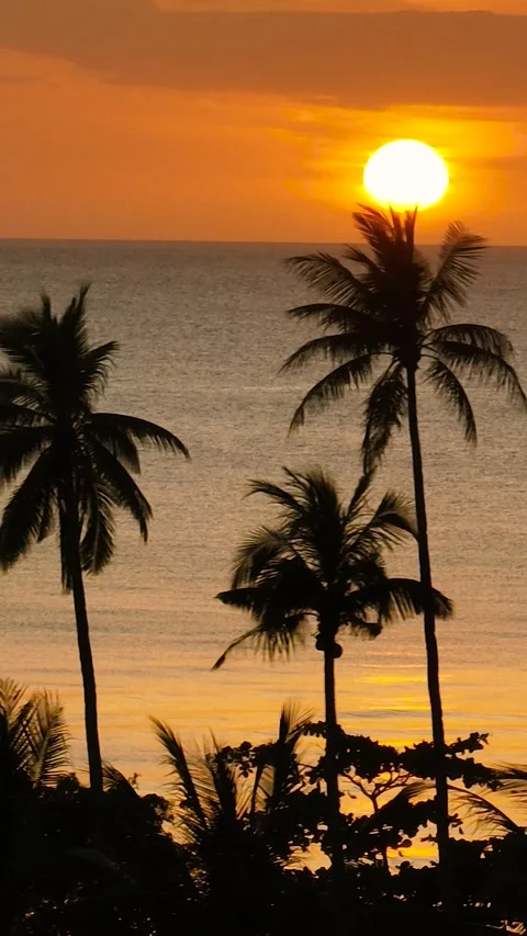 Sunset in Santa Fe, Tablas, Romblon. Philippines. Stock Footage 321270184
