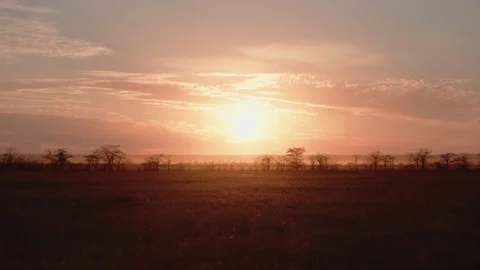 Sunset in the savannah Cremea Stock Footage 155448496