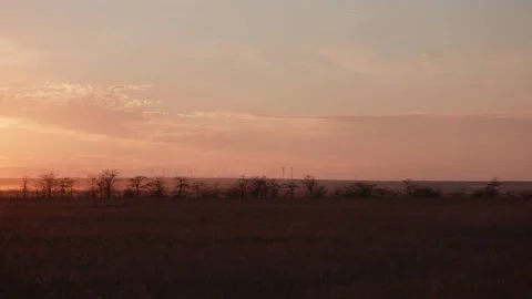 Sunset in the savannah Cremea Stock Footage 155448509