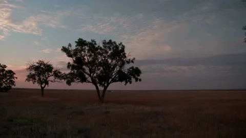 Sunset in the savannah Cremea Stock Footage 155448767
