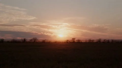 Sunset in the savannah Cremea Stock Footage 155448790