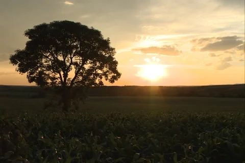 Sunset in SC 01 스톡 동영상 37381548