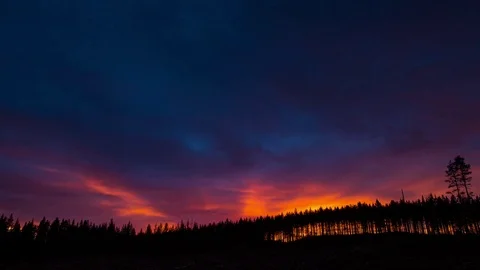 Sunset in scandinavian forest. Vídeos de archivo 78152847