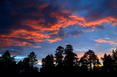 Sunset in scarlet Stock Photos