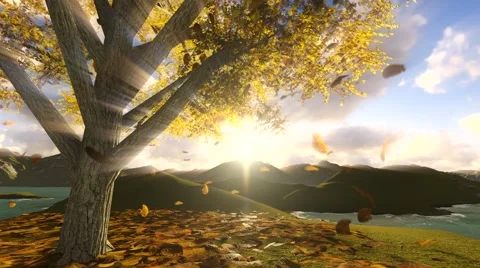 Sunset scene by falling tree leaves Stockbeeldmateriaal 41538450