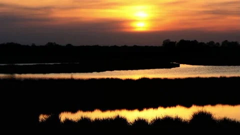 Sunset scene in a nature reserve Stock Footage 188544602