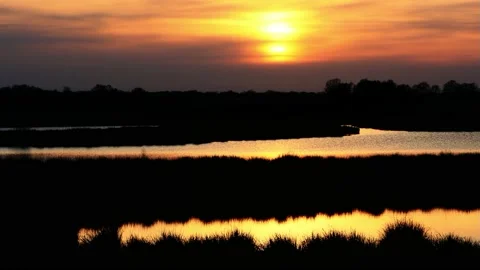 Sunset scene in a nature reserve Stock Footage 196966829