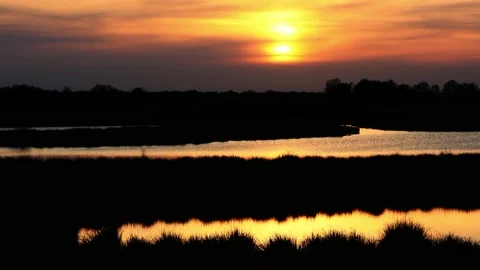 Sunset scene in a nature reserve Stock Footage 218710819
