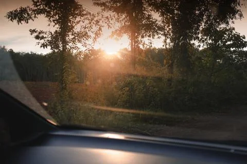 Sunset scene over the forest. View from the car Stockfoto's