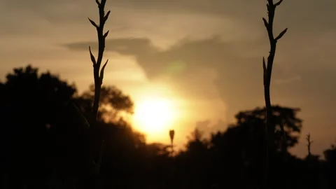 A sunset scene with the sun low in the sky Stock Footage 316246177