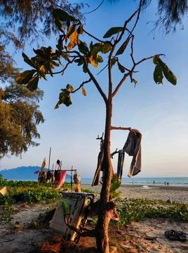 Sunset scene with tree and beach activities near the shore. Ban Phe in Thai.. Stock Photos