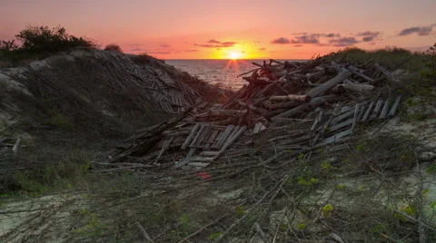 Sunset on the sea and dunes covered with logs. Timelapse Stock Footage 67337233