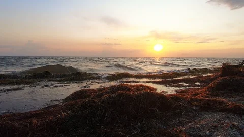 Sunset on the sea bay Vídeos de archivo 114418368