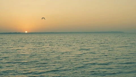 Sunset on the sea beach 4K. FULL HD, 3840x2160 Video stock 90932512