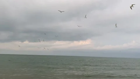 Sunset at sea beach Video stock 164876757