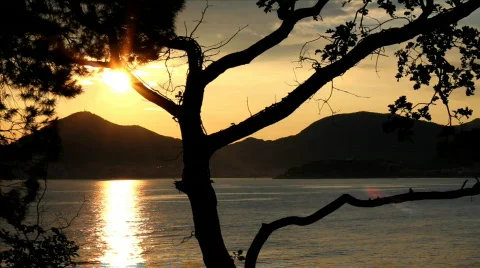 Sunset at Sea Video stock 770902