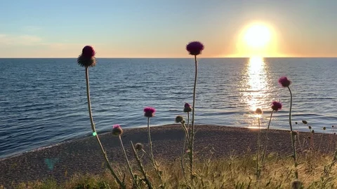 Sunset at sea Stock Footage 118403760