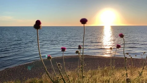 Sunset at sea Stock Footage 118403868