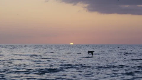 Sunset at sea Stock Footage 127803911