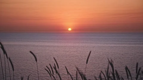 Sunset &amp; Sea Stock Footage 137922640