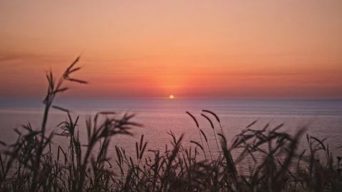 Sunset &amp; Sea Stock Footage 137923286