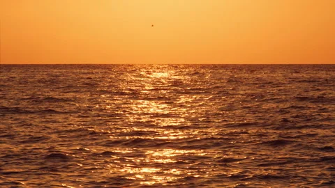 Sunset &amp; Sea Stock Footage 157839476