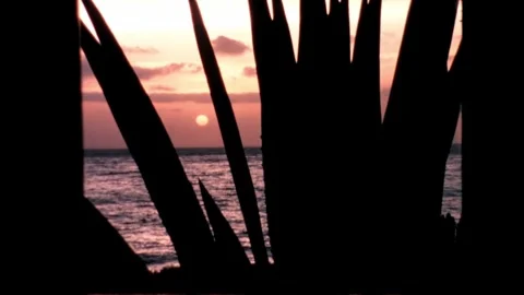Sunset by the Sea Stock Footage 278216767