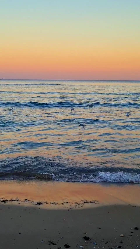 Sunset on the sea Stock Footage 293675786