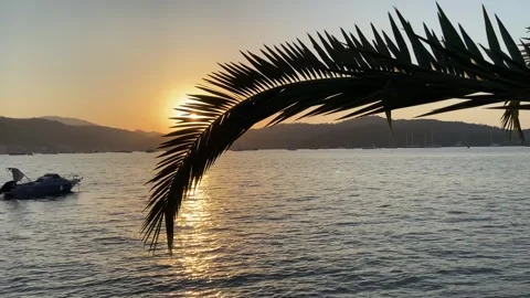 Sunset at sea with palm trees, cities and boats in the background Stock Footage 307698924