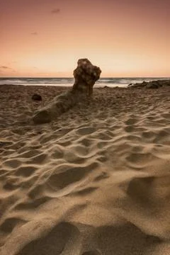 Sunset sea Stock Photos