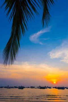 Sunset at sea Stock Photos