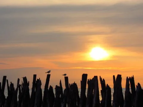 Sunset in the sea Stock Photos