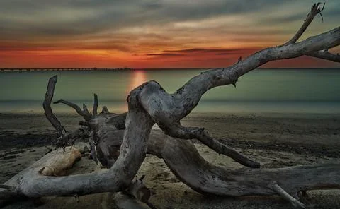 Sunset on the sea Stock Photos