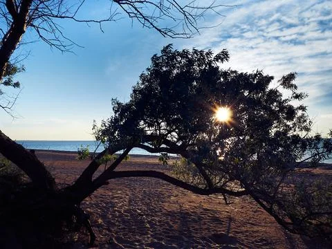 Sunset at sea. Stock Photos