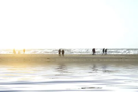 Sunset on the sea Stock Photos