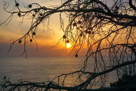 Sunset at the sea. Stock Photos