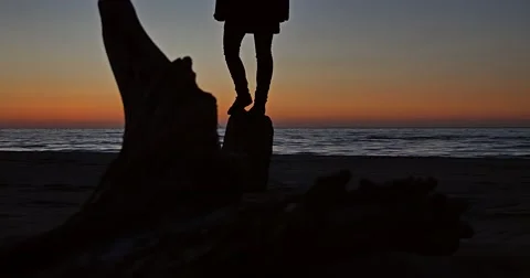 Sunset Sea Root 4k Stock Footage 51163910